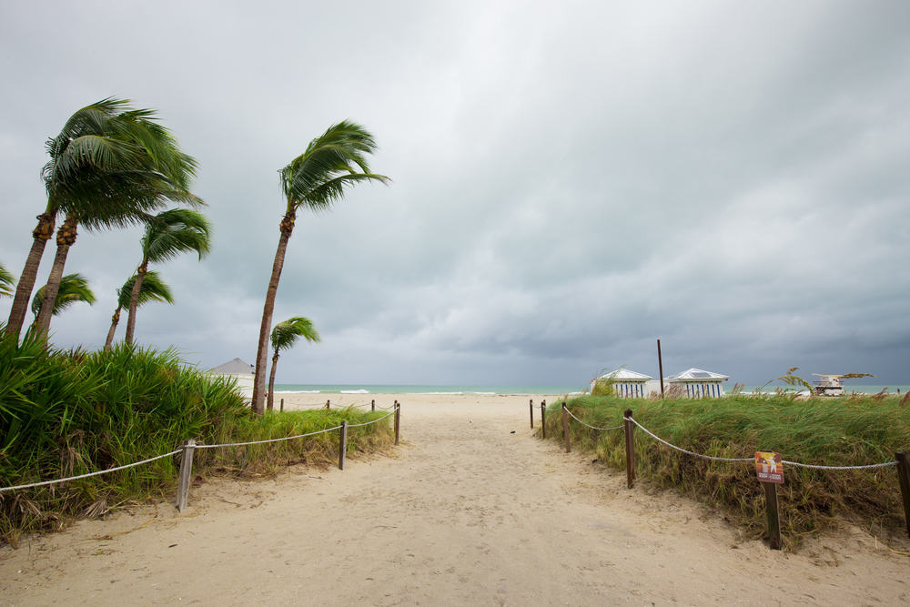 Keep Your Apartment Safe During Hurricane Disasters