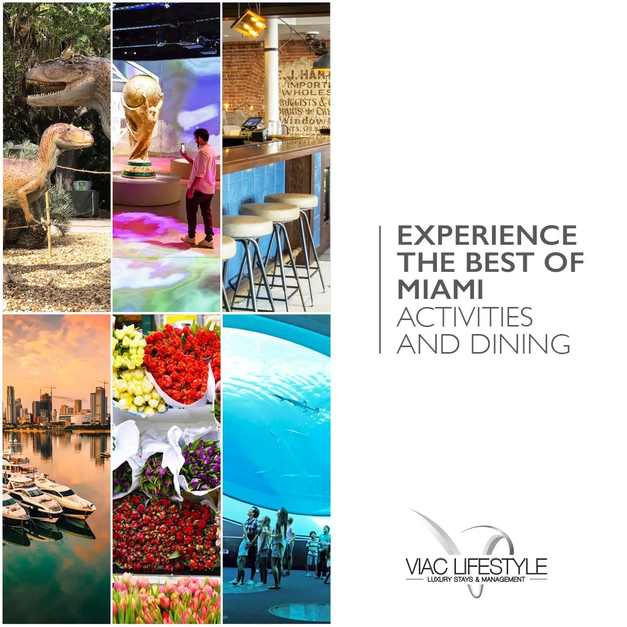 Things to do in Miami in May